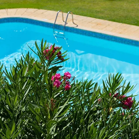 Quinta Do Paiva *